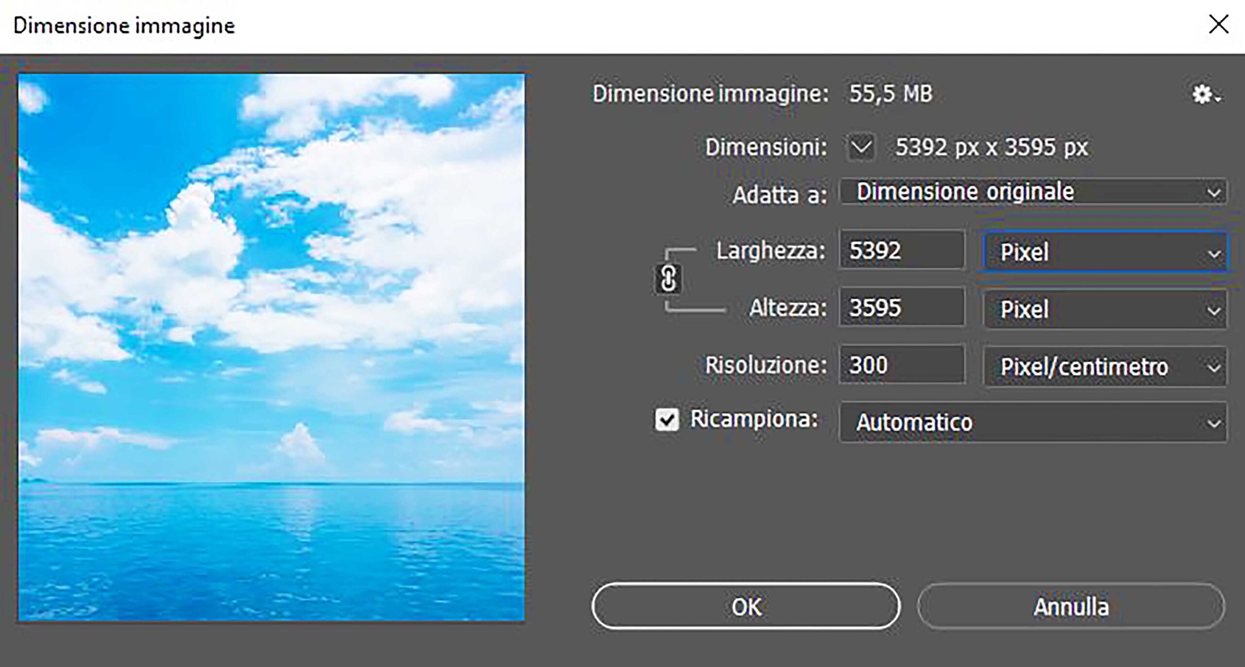salvare 